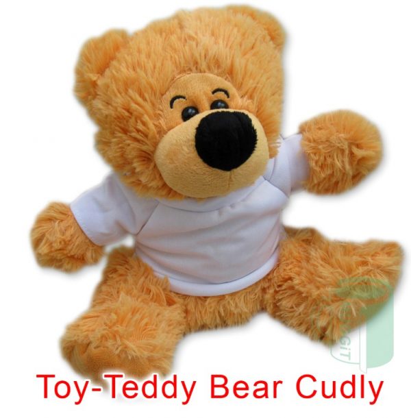 personalised cuddly teddy bear